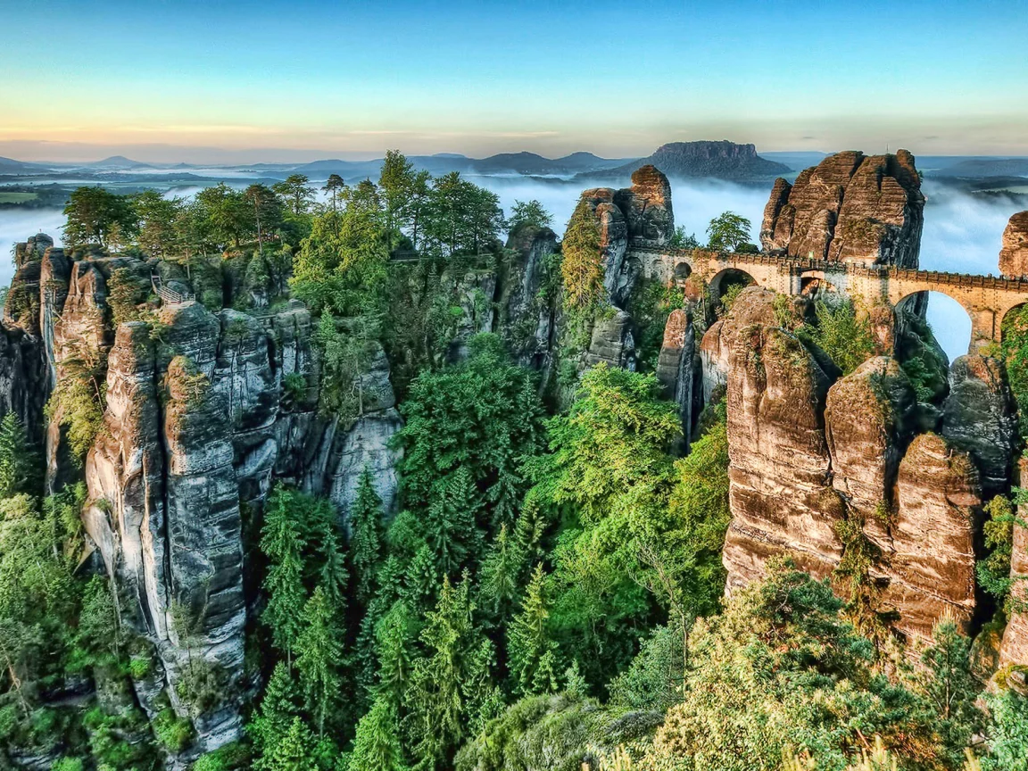 горы, лес, туман