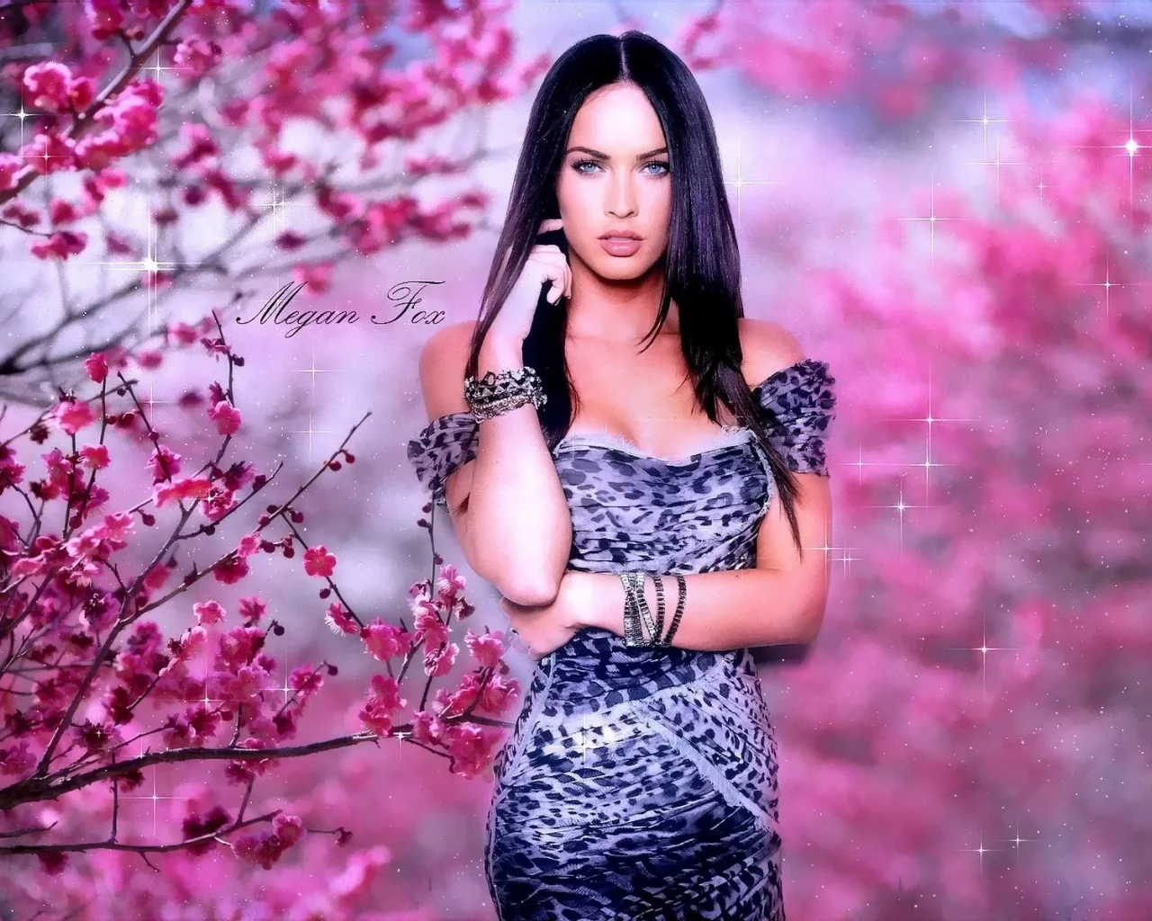актриса, megan fox