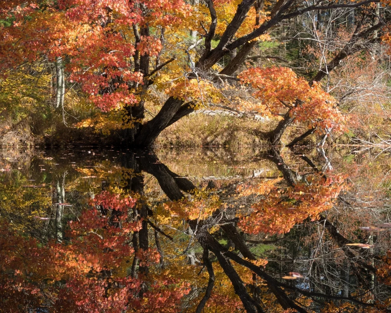 пейзаж, природа, красота