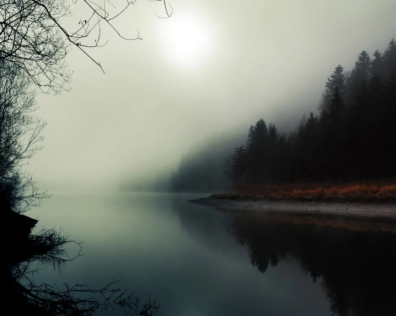 река, лес, туман