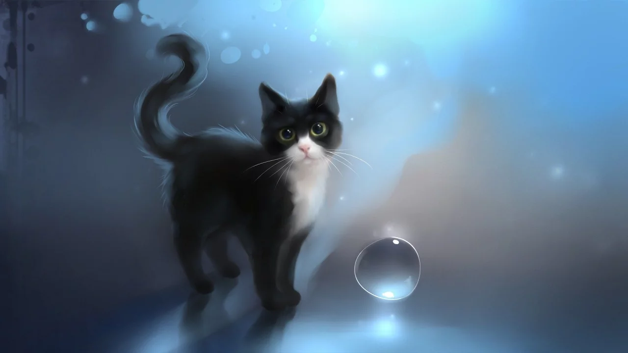 кот, кошка, арт