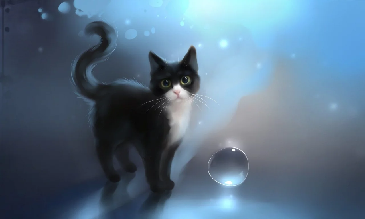 кот, кошка, арт