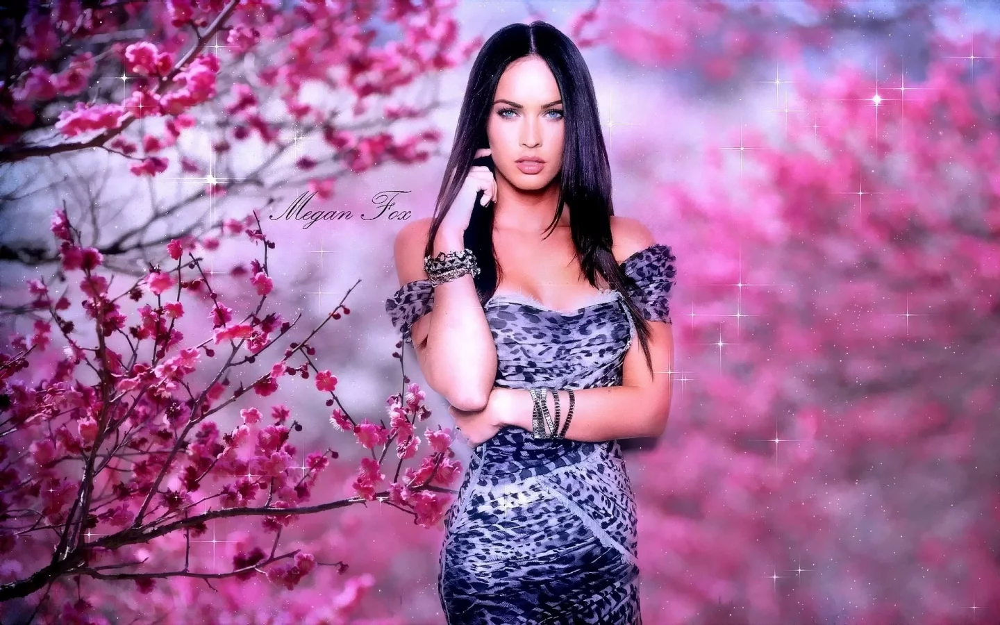 актриса, megan fox