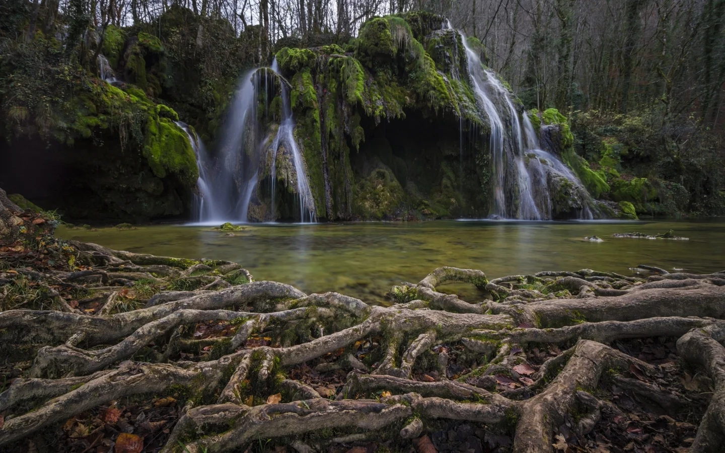 пейзаж, природа, красота