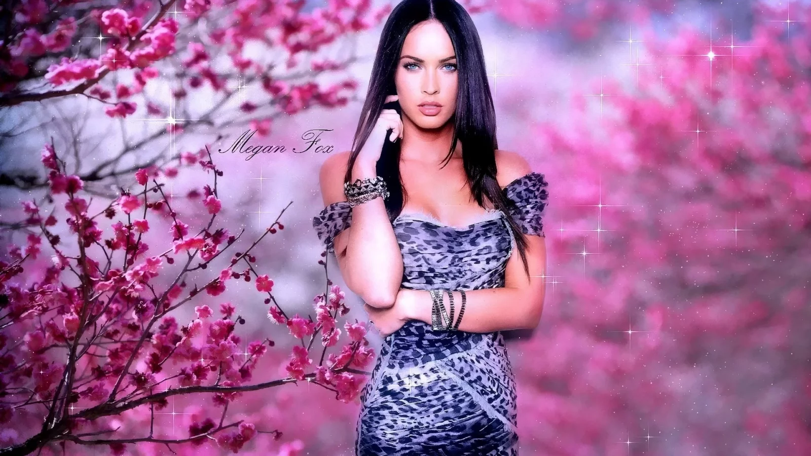 актриса, megan fox