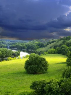 пейзаж, лес, холмы, тучи, деревья