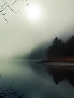 река, лес, туман