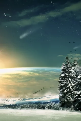 пейзаж, зима, ночь, лес, луна, снег