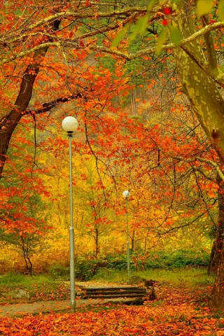 парк, фонари, осень, листопад