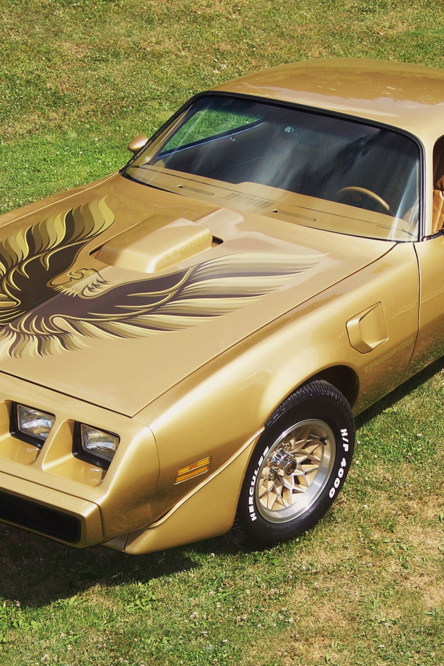 pontiac firebird 1978