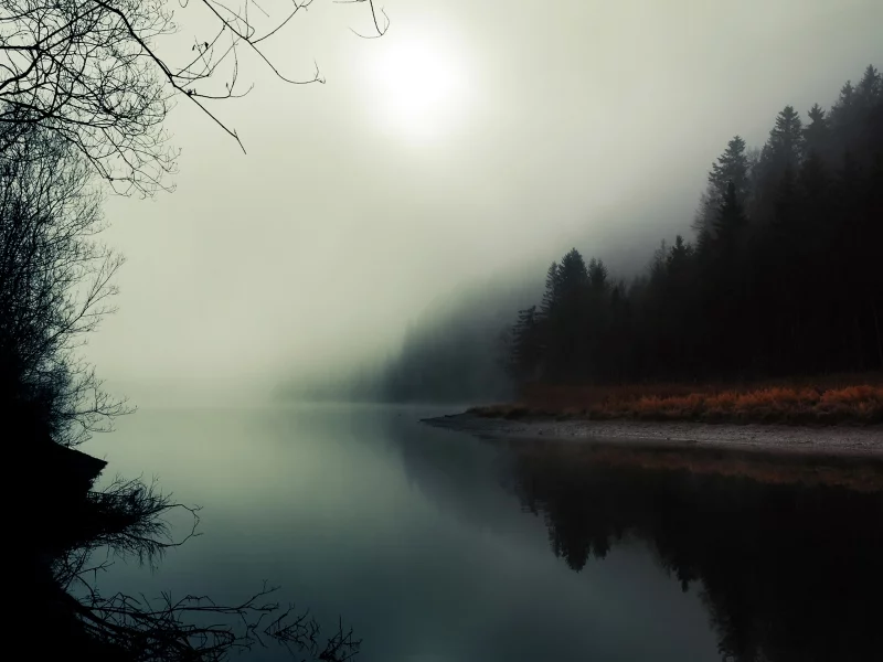 река, лес, туман