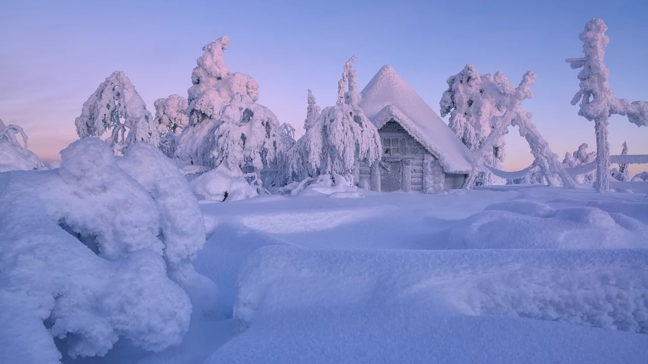 зима, снег, деревья, дом