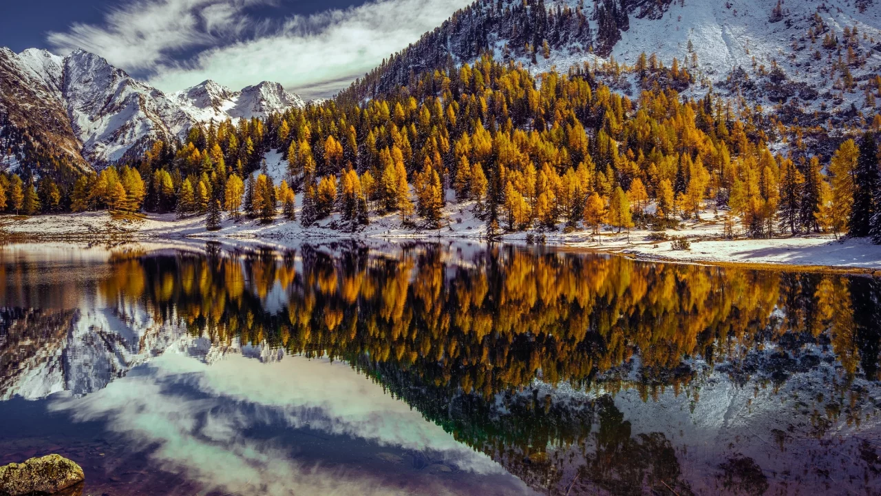озеро, лес, деревья в горах, осень
