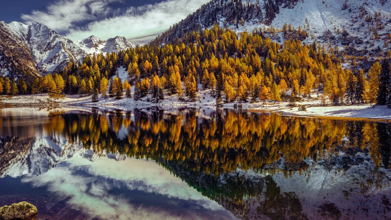 озеро, лес, деревья в горах, осень