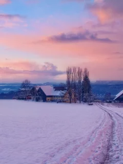 зима, снег, деревня, рассвет
