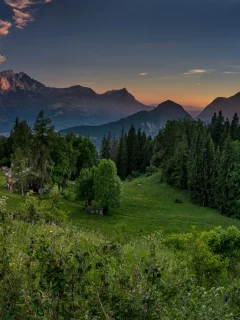 лес, горы
