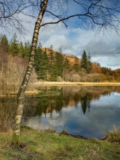 пейзаж, природа, красота