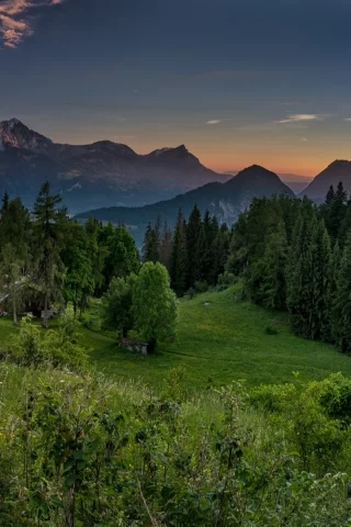 лес, горы