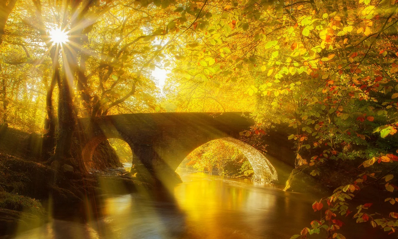 nature, sunrays, park, bridge, autumn, trees, river