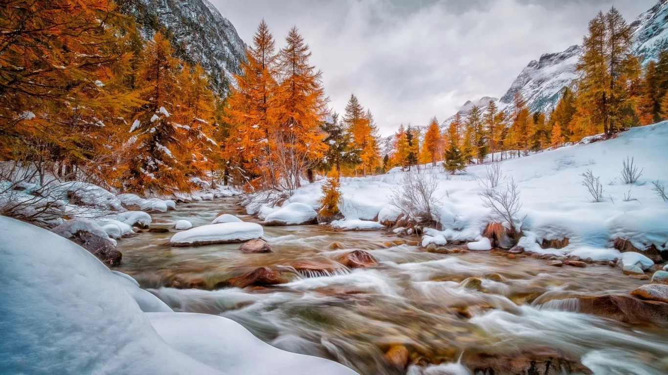 nature, mountains, snow, forest, river