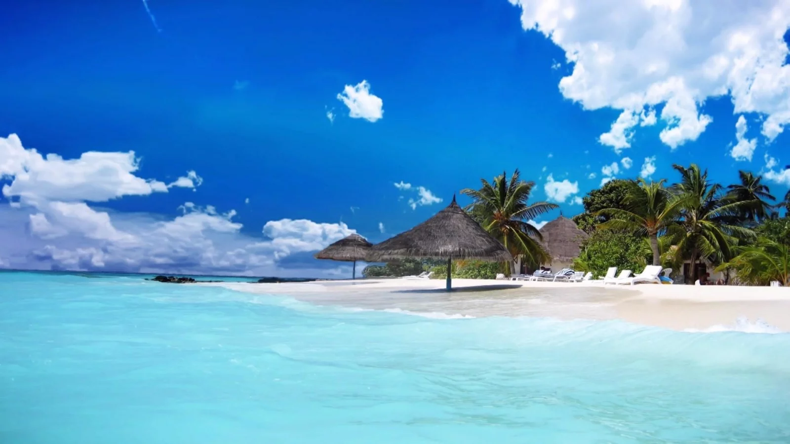 nature, sea, beach, tropics, palm trees