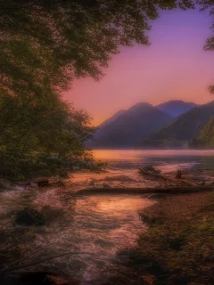 nature, landscape, lake, sunset, trees, evening, abkhazia, ritsa