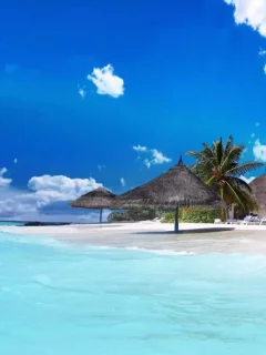 nature, sea, beach, tropics, palm trees