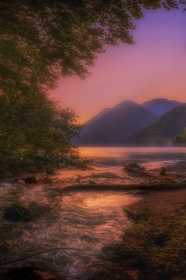 nature, landscape, lake, sunset, trees, evening, abkhazia, ritsa