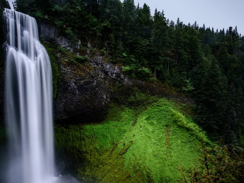 nature, waterfall, mountains, forest