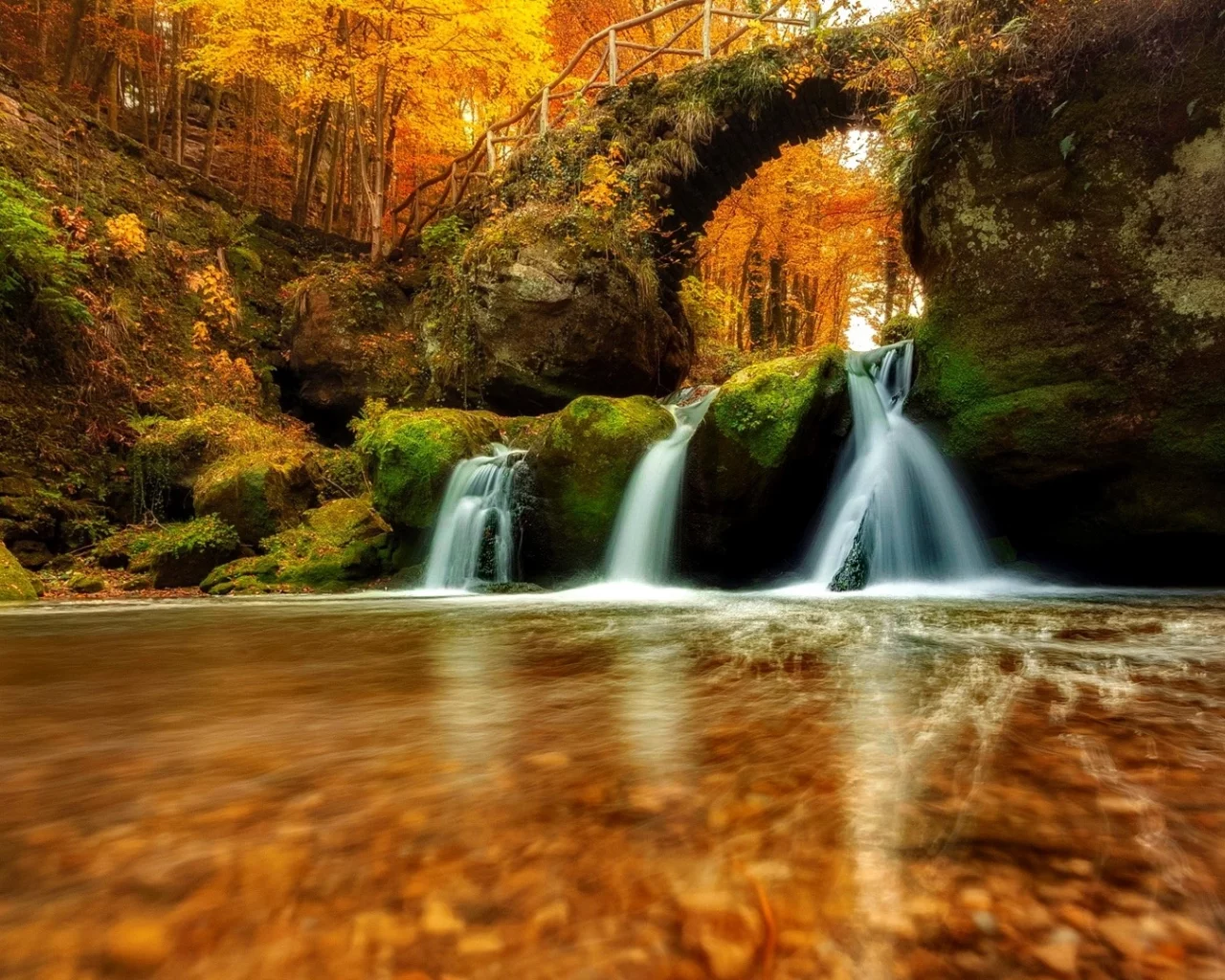 forest, nature, river, waterfall