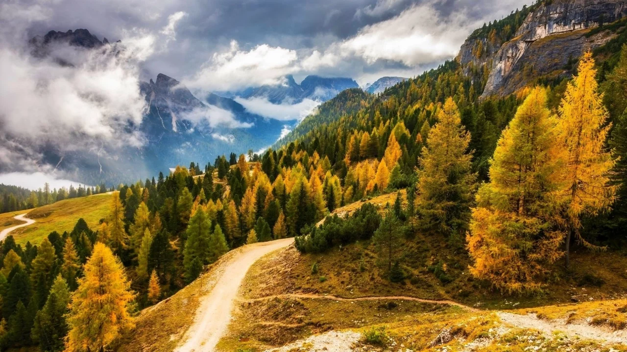 nature, forest, mountains, road