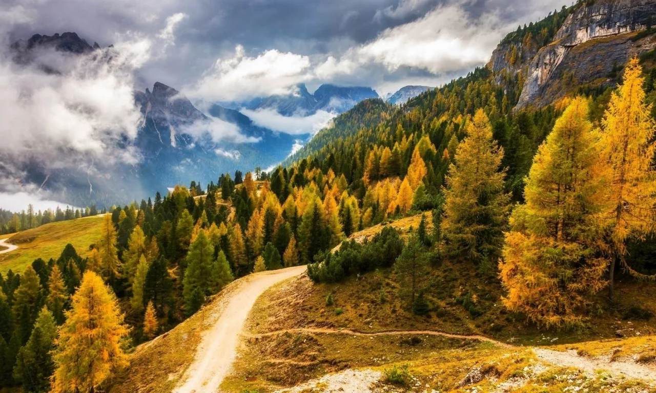 nature, forest, mountains, road
