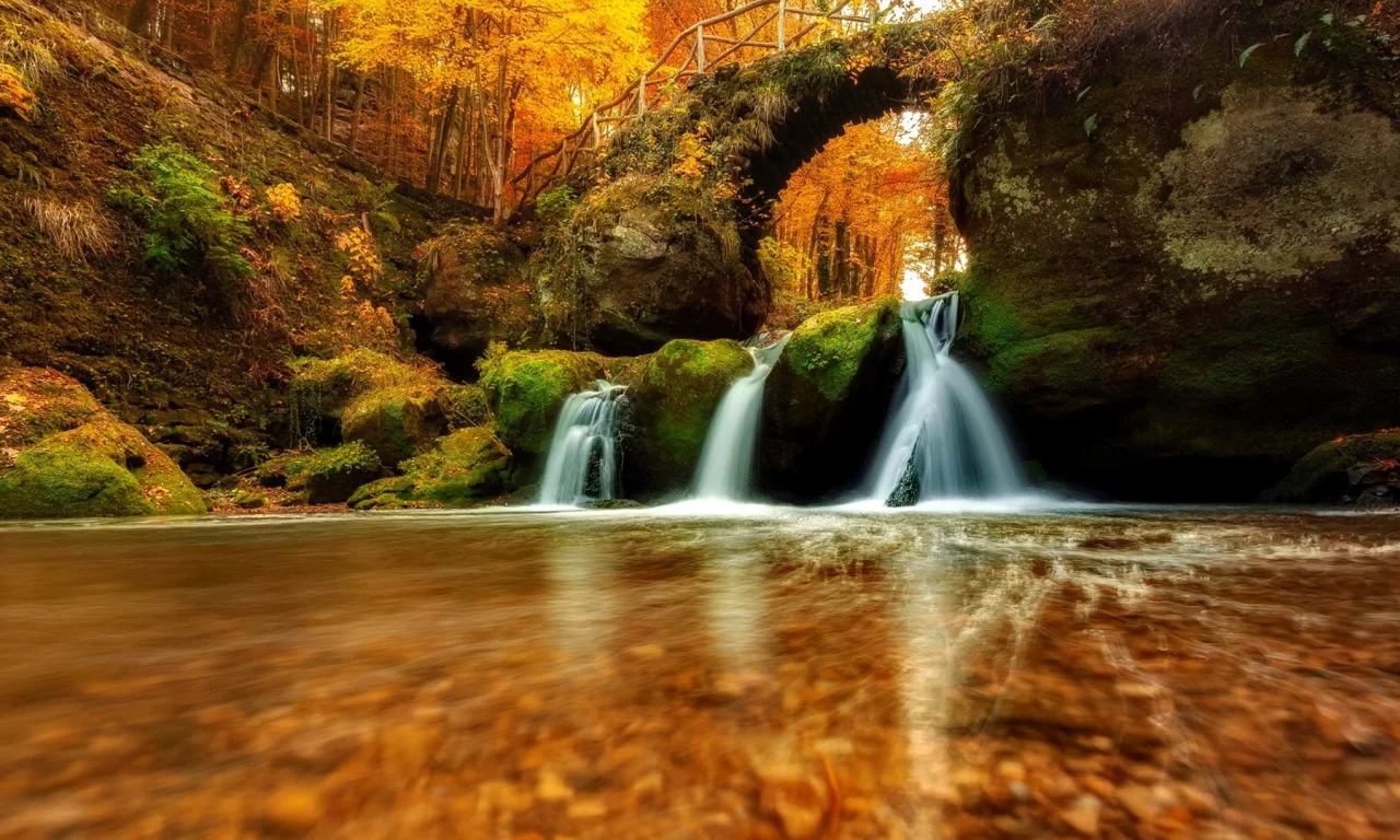 forest, nature, river, waterfall