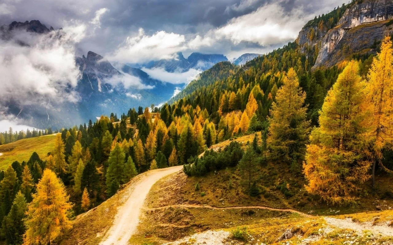 nature, forest, mountains, road