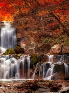 nature, forest, river, waterfall