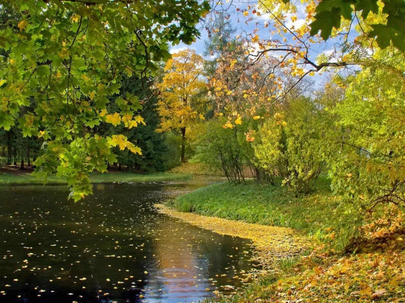 nature, nature