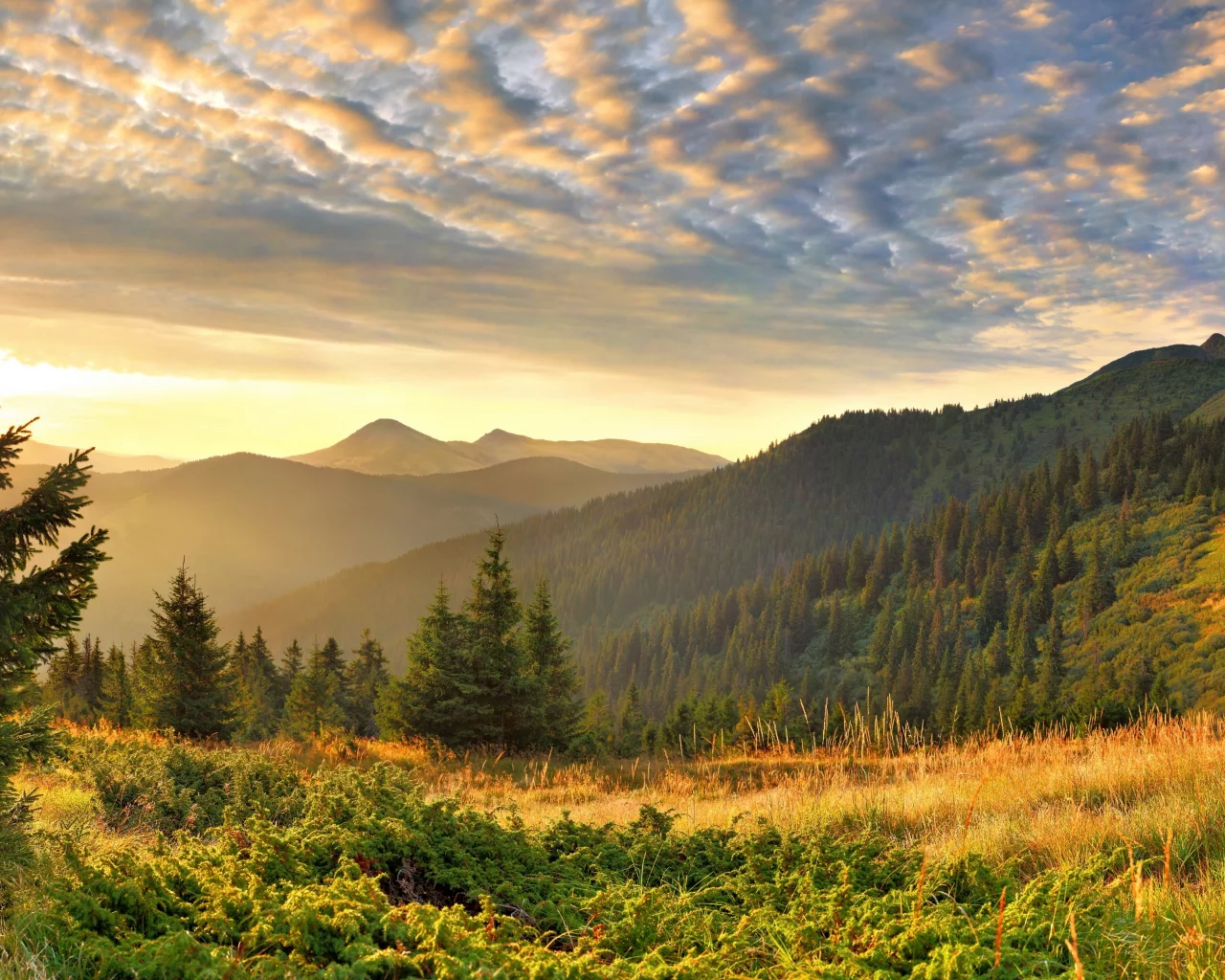 nature, forest, mountains, sky, trees