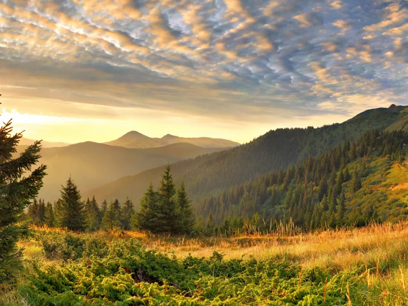 nature, forest, mountains, sky, trees