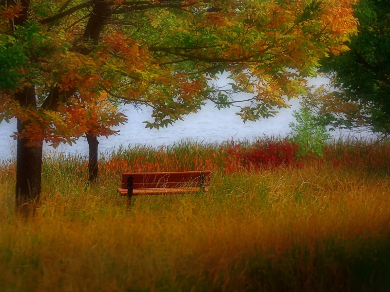 nature, nature