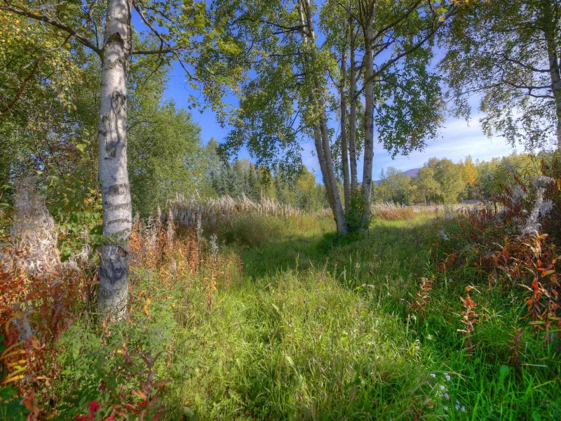 nature, nature