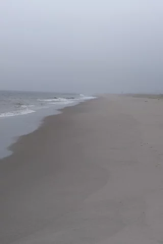 море, природа, сахалин