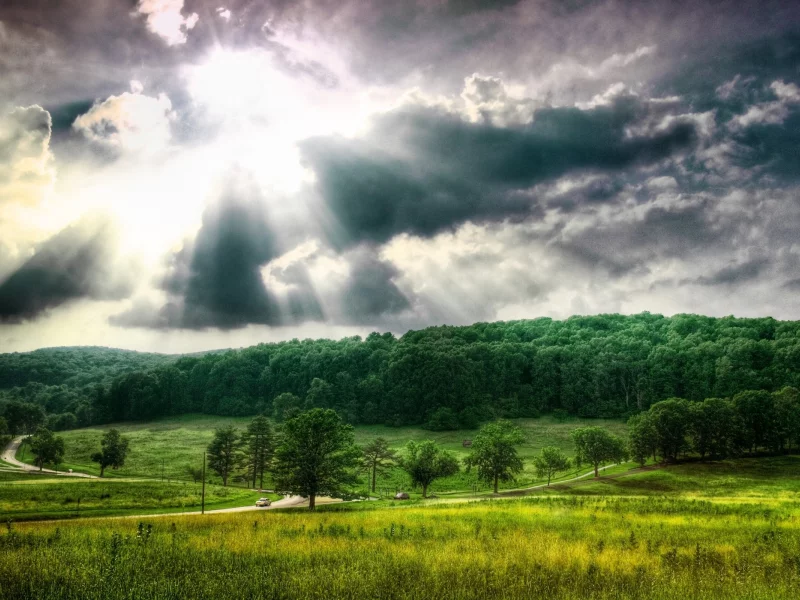 nature, nature