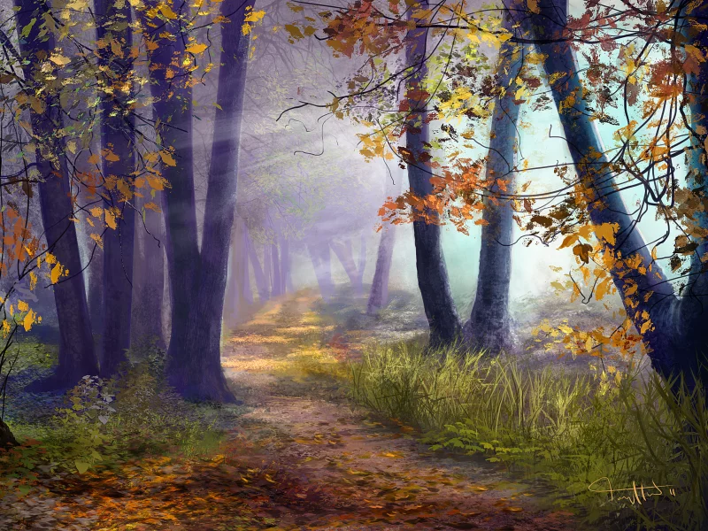 nature, nature