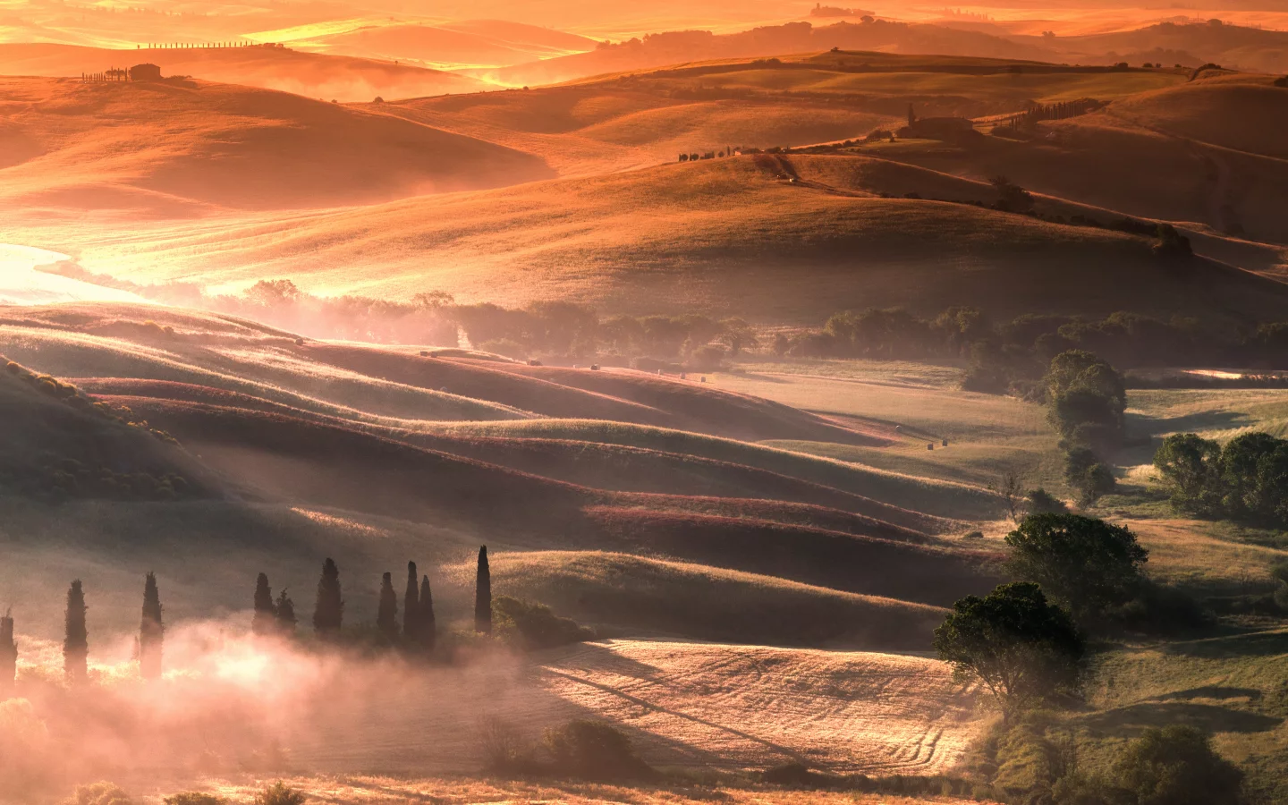 landscape, hills, fields, fog