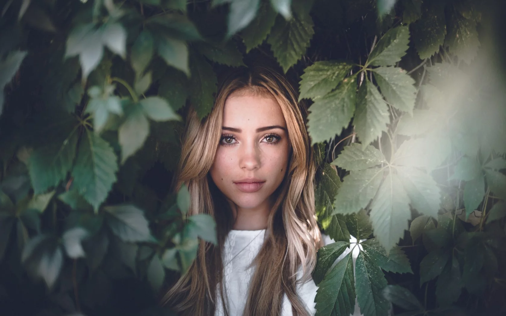 girl, beautiful, looking at viewer