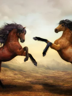 wild horses, pair, brown horses, stallion