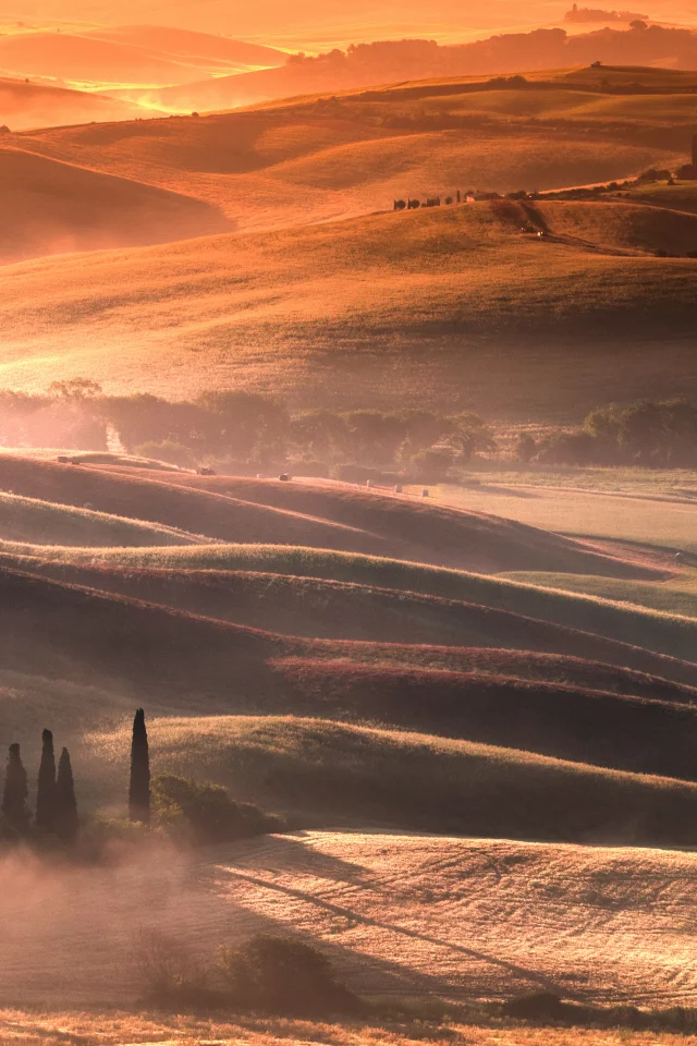 landscape, hills, fields, fog