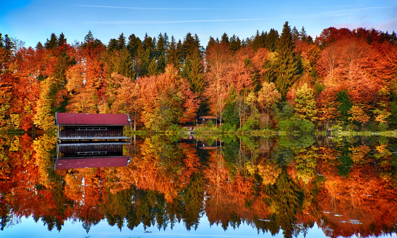 autumn, trees, forest, mirror, lake, reflection, wooden house