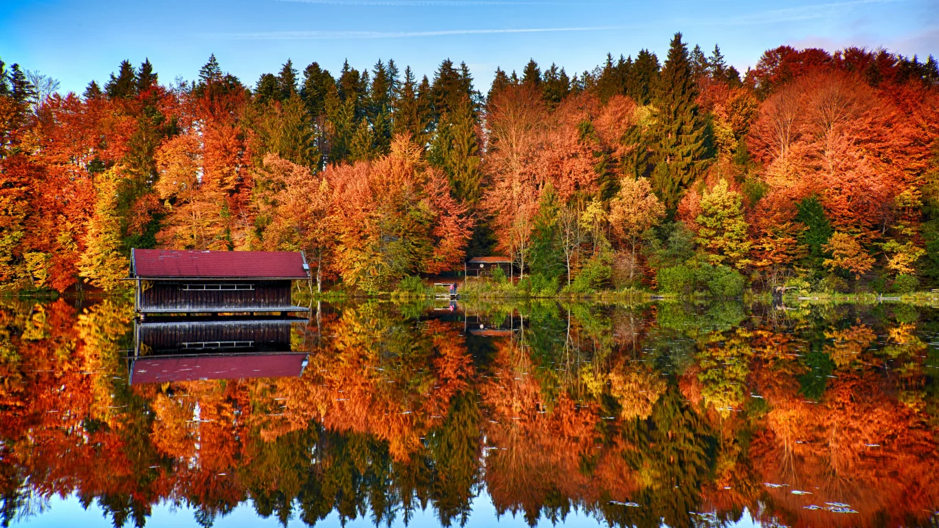 autumn, trees, forest, mirror, lake, reflection, wooden house