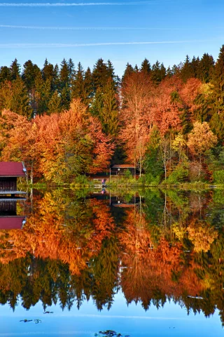 autumn, trees, forest, mirror, lake, reflection, wooden house